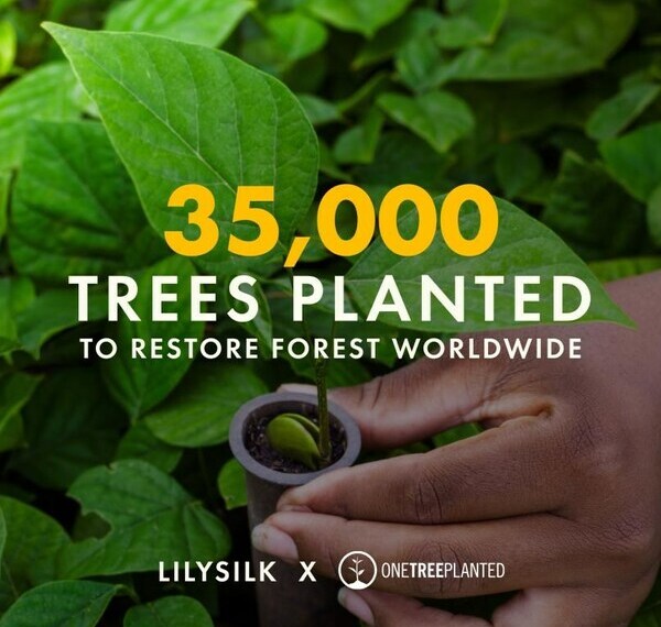 LILYSILK Partners with One Tree Planted for Thanksgiving Reforestation Initiative