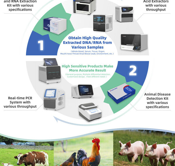 Tianlong Solution for Livestock Disease Detection