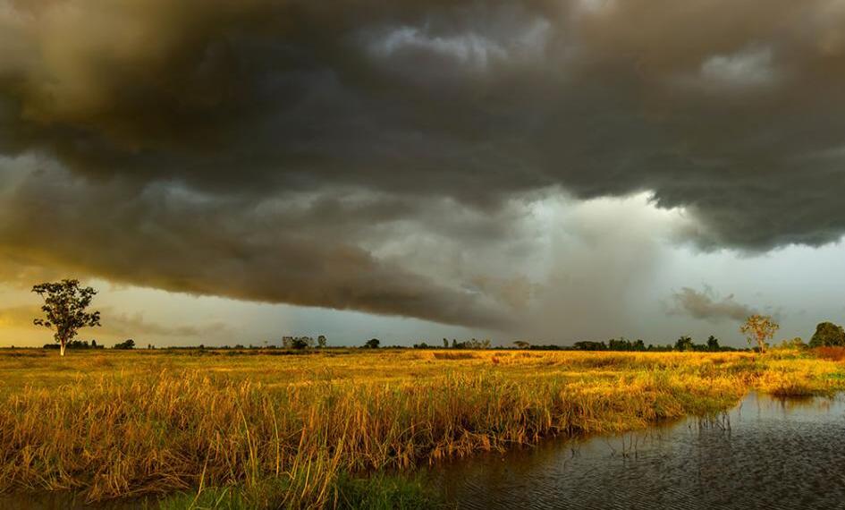 How would Thailand 's agricultural sector navigate through the erratic rainfall?