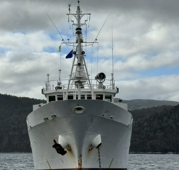 The Bandero, now under the banner of Neptunes Pirates, is a former Japanese Fisheries Patrol ship, which will nowto combat illegal whaling in the Southern Ocean Whale Sanctuary. The vessel, which has just sailed from Busan, Korea, will dock in Hobart, Tasmania.