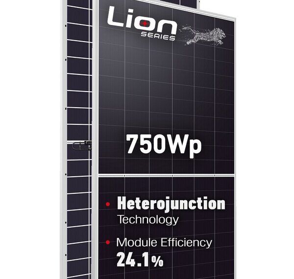 RECOM Technologies Unveils Lion HJT 750Wp PV Module with 30-Year Product Warranty