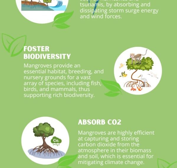 Mangroves: Guardians of coastal ecosystems