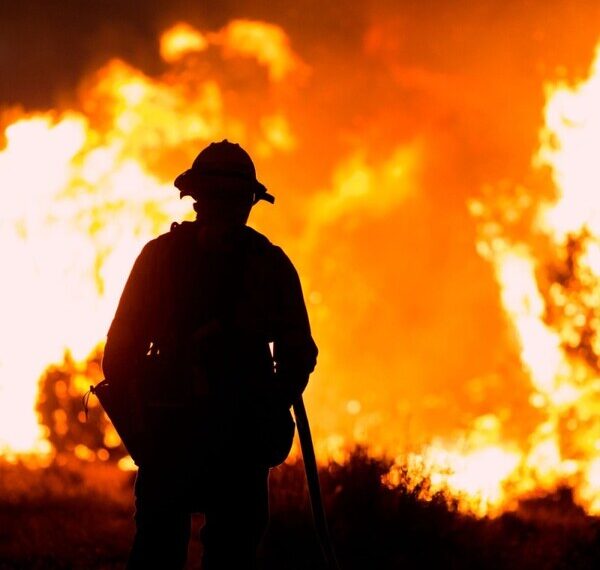 Wildfires in Greater Los Angeles